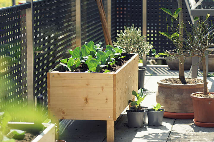 themenwelt optimale beetaufteilung nach pflanzhöhe